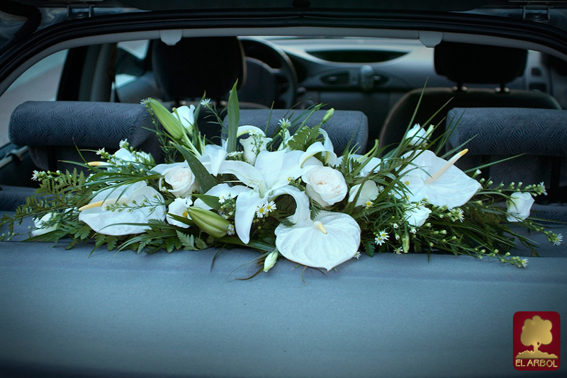 Manillas y Bandejas (1/2)